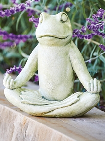 Zen Yoga Frog